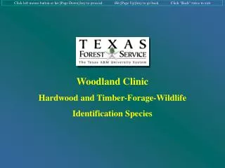 Woodland Clinic Hardwood and Timber-Forage-Wildlife Identification Species
