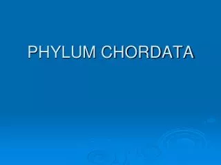 PHYLUM CHORDATA