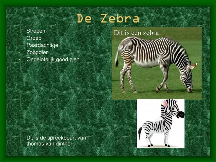 de zebra