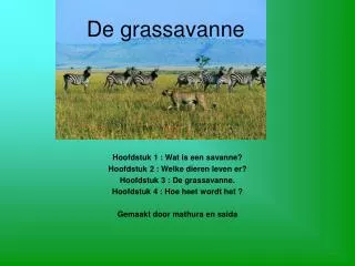 de grassavanne