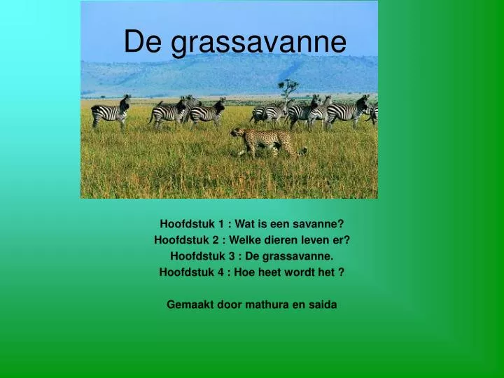 de grassavanne