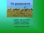 De grassavanne - slide 1