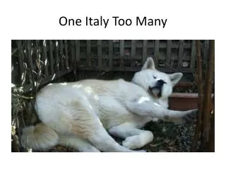 one italy too many