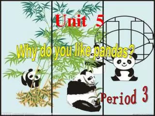 Why do you like pandas?