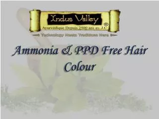 Ammoina & PPD Free Hair Colour @ 9873 18 1111