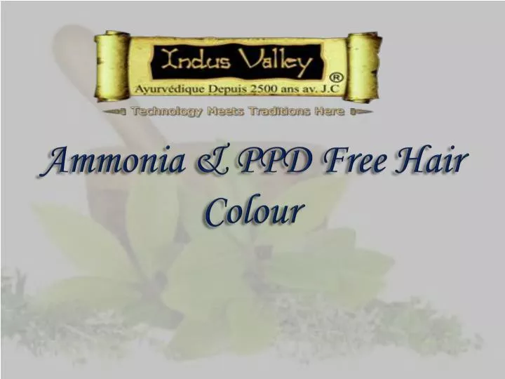 ammonia ppd free hair colour