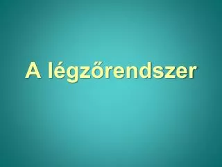 a l gz rendszer