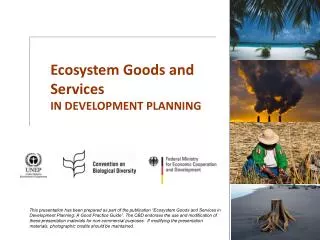 Ecosystem Goods and Services IN DEVELOPMENT PLANNING