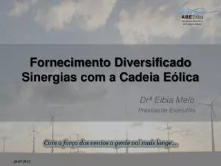 fornecimento diversificado sinergias com a cadeia e lica