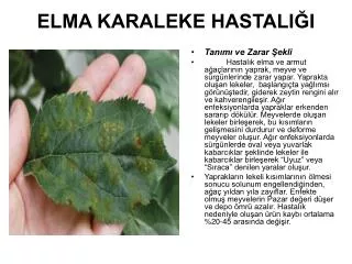 elma karaleke hastali i