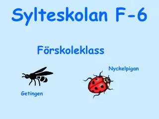 sylteskolan f 6