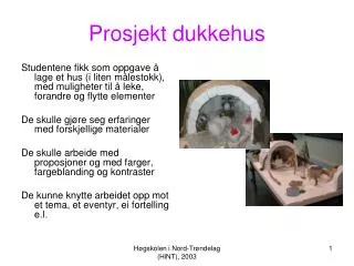 prosjekt dukkehus