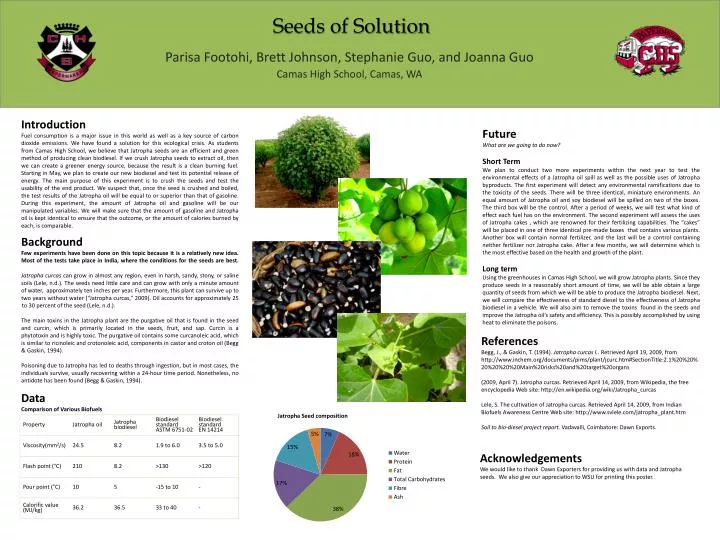 seeds of solution