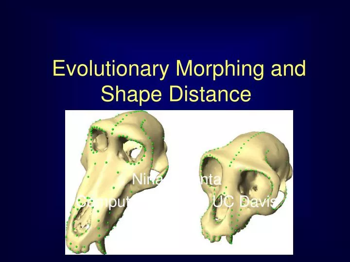 evolutionary morphing and shape distance