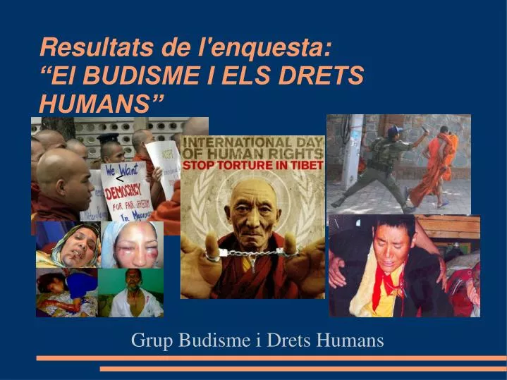 grup budisme i drets humans