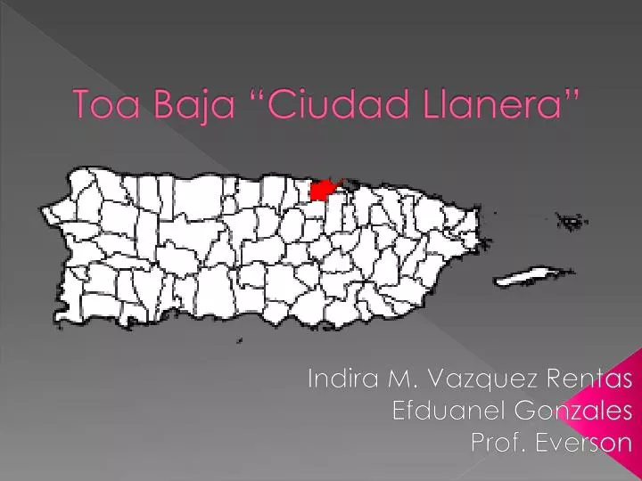 toa baja ciudad llanera