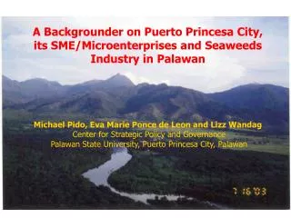 A Backgrounder on Puerto Princesa City, its SME/Microenterprises and Seaweeds Industry in Palawan