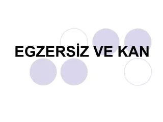 egzers z ve kan