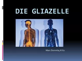 Die Gliazelle