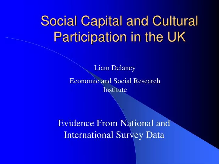 social capital and cultural participation in the uk