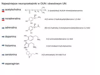 Najważniejsze neuroprzekażniki w OUN i obwodowym UN: acetylocholina noradrenalina