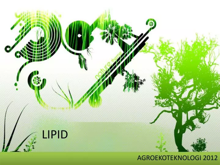 lipid