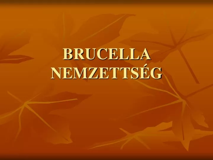 brucella nemzetts g