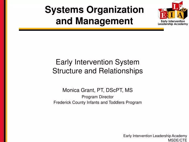 systems organization and management