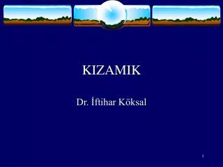 kizamik