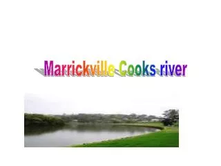 Marrickville Cooks river
