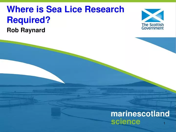 where is sea lice research required