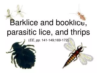 Barklice and booklice, parasitic lice, and thrips