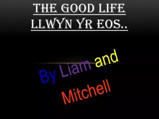 THE GOOD LIFE Llwyn yr eos..