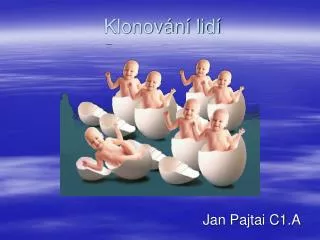klonov n lid