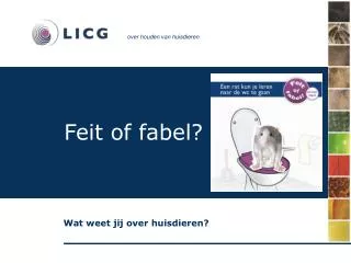 feit of fabel