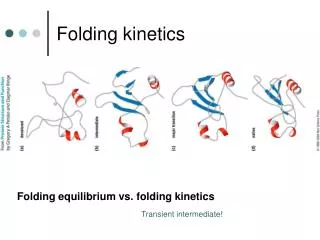 Folding kinetics