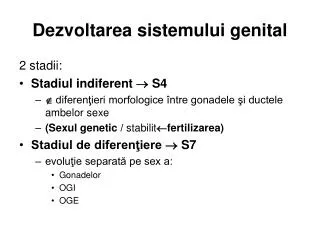 dezvoltarea sistemului genital