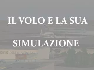 il volo e la sua