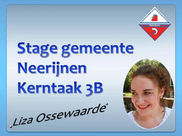 stage g emeente neerijnen kerntaak 3b