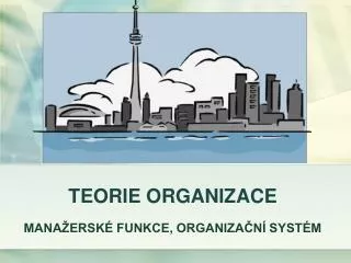 teorie organizace