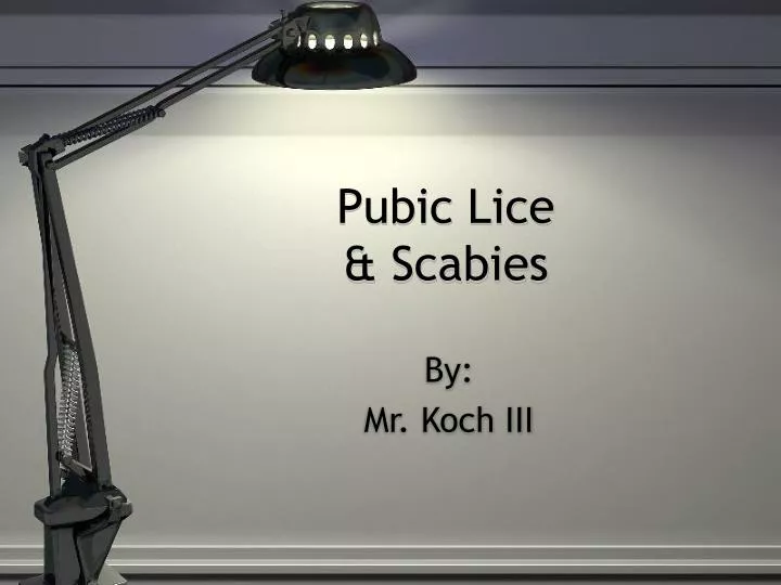 pubic lice scabies