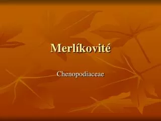 merl kovit