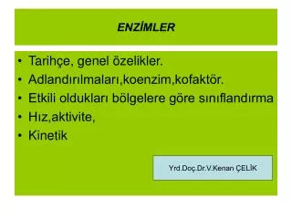 enz mler