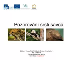 pozorov n srsti savc