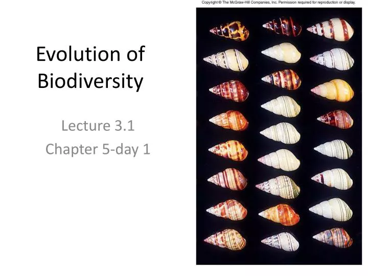 evolution of biodiversity