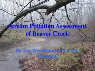 Stream Pollution Assessment of Beaver Creek