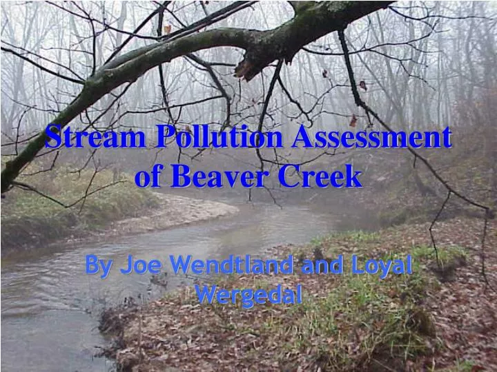 stream pollution assessment of beaver creek