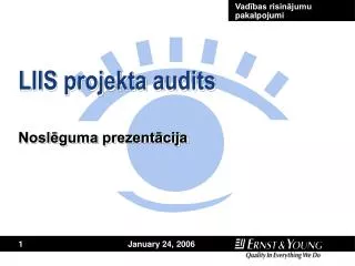 liis projekta audits