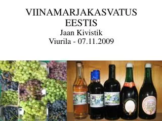 VIINAMARJAKASVATUS EESTIS Jaan Kivistik Viurila - 07.11.2009