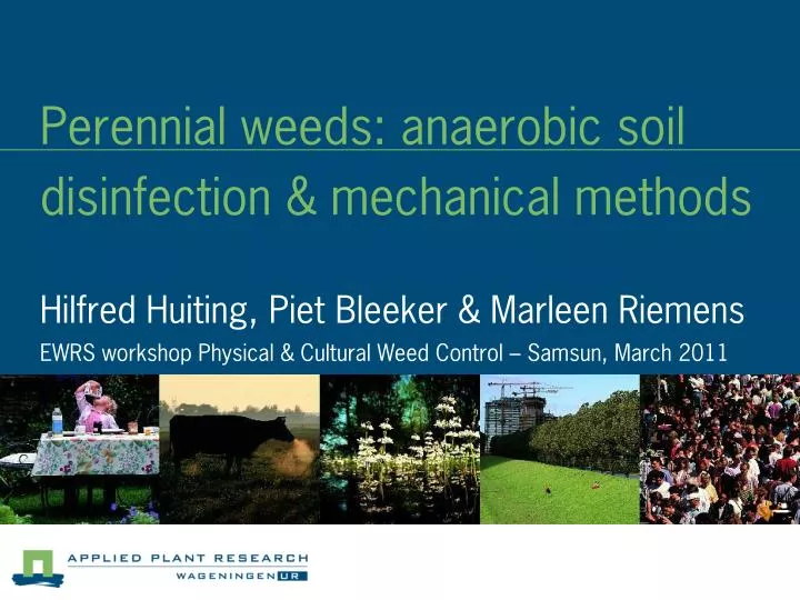 perennial weeds anaerobic soil disinfection mechanical methods